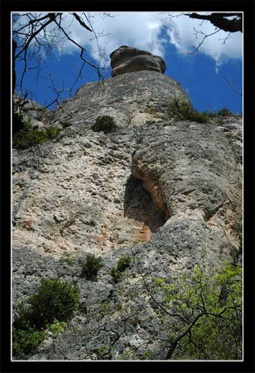 Les gorges de la Jonte